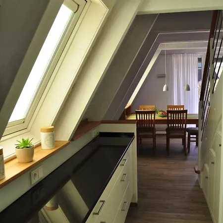 Meinhaus-damp Holiday home *